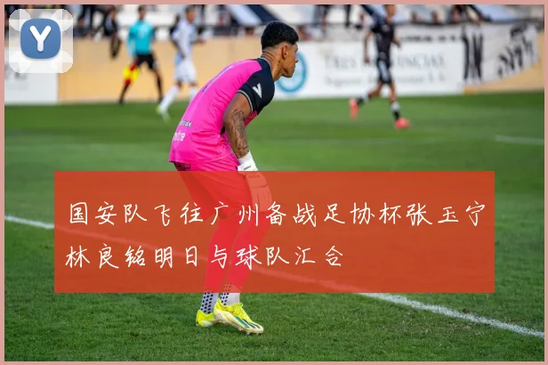 国安队飞往广州备战足协杯张玉宁林良铭明日与球队汇合